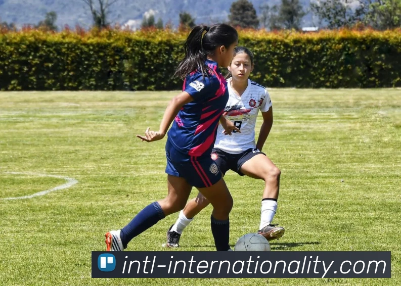 巅峰国际平台生态图